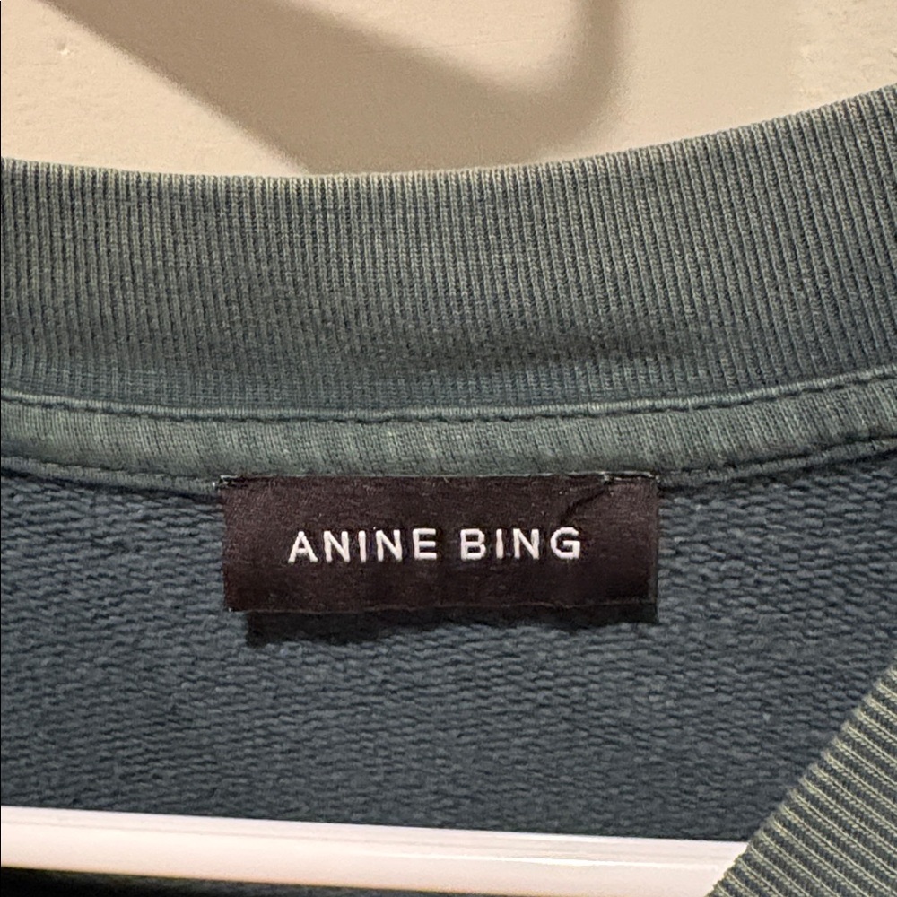 ANINE BING Oversized Crew Miles Sweatshirt Washed Sage Green Size Medium - Picture 4 of 7